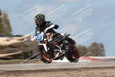 media/Feb-19-2024-Lets Ride (Mon) [[eb90a18fbf]]/Group C/1230pm (Grapevine)/